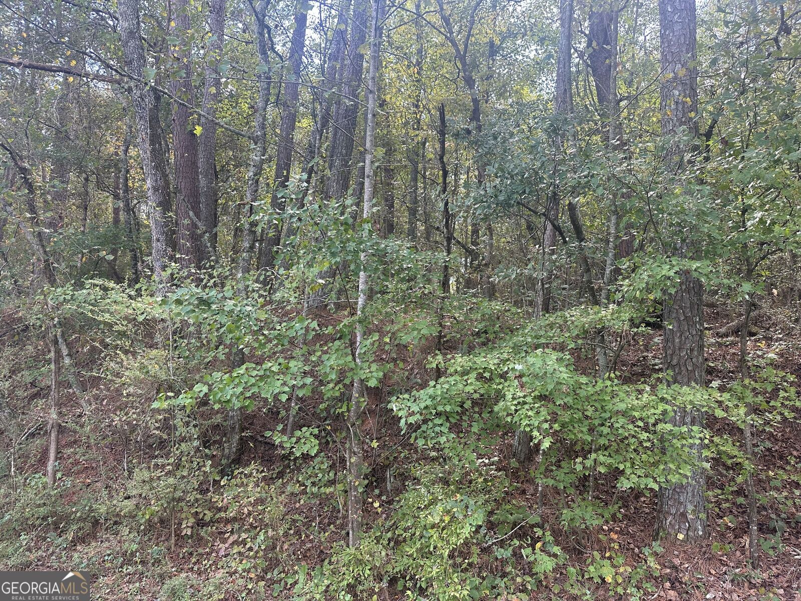 Property Photo: 0 Carver Mill Road GA 30175