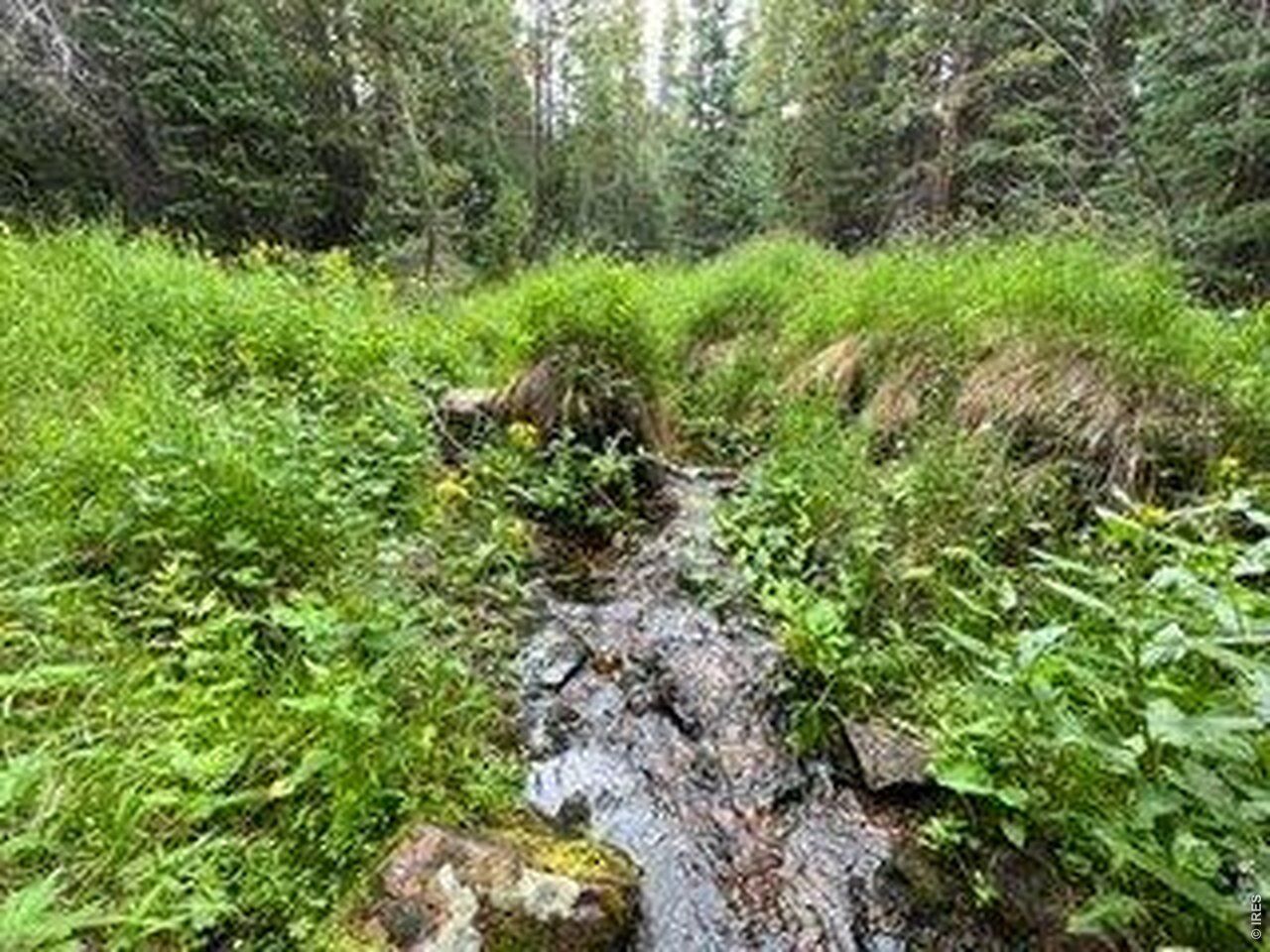 Property Photo: 1070 Pearl Creek Rd CO 80545