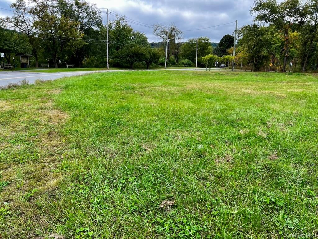 Property Photo:  4 Lumber Street  NY 12771 