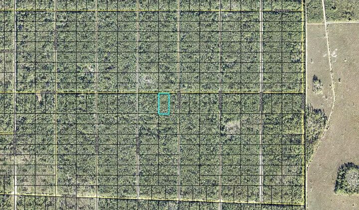 Property Photo:  207 Donna Street  FL 32145 