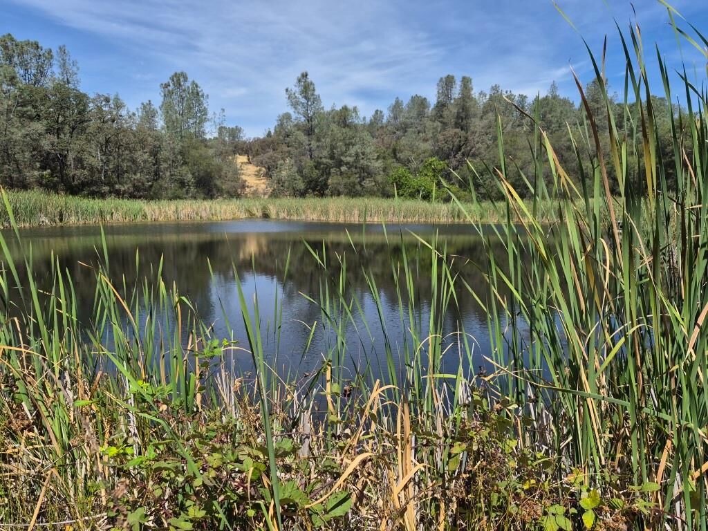 Property Photo: 16791 Harmony Hills Way CA 95949