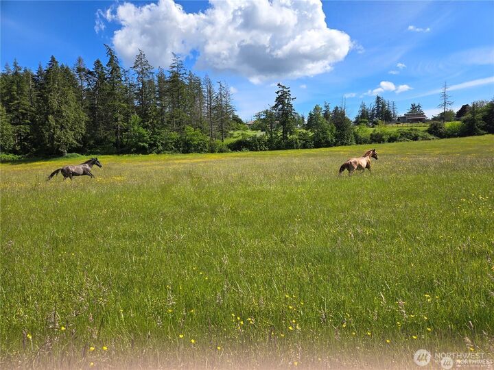 Property Photo:  1050  Promise Lane  WA 98282 