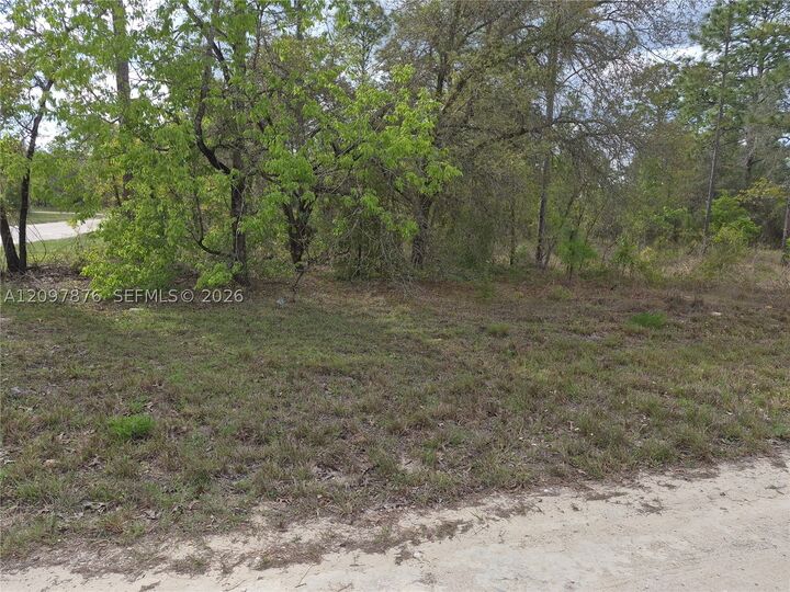 Property Photo:  00 NE NE 4th St  FL 32696 