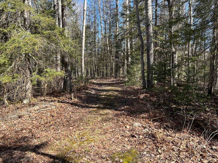 Photo de la propriété:  Con 9 Pt Lot 17 Highway 534 N/A  ON K0J 0B3 