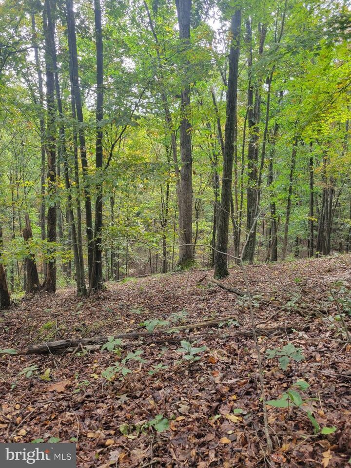 Property Photo:  Bear Road  WV 26714 