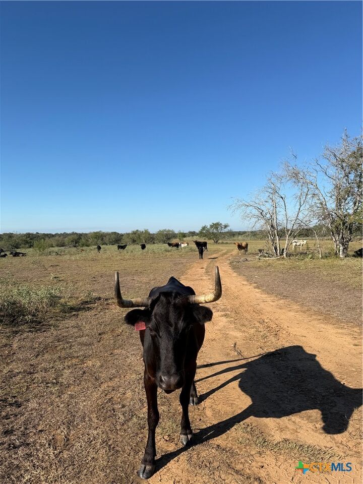 Property Photo:  3841 County Road 427  TX 78160 