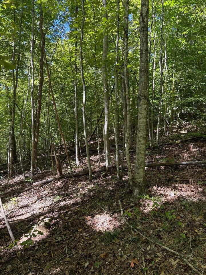 Property Photo: 3825 Highway 191 KY 41472