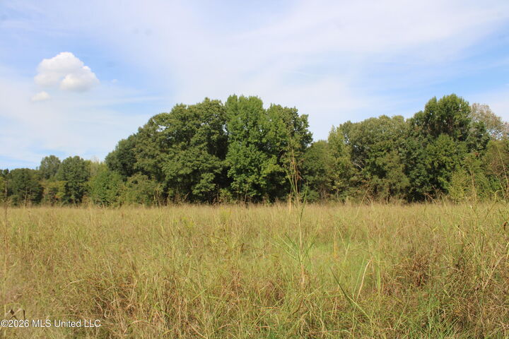 Property Photo:  5 Star Landing Road  MS 38651 