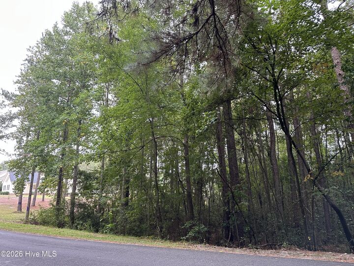 Property Photo:  134 Bellhaven Drive  NC 28327 