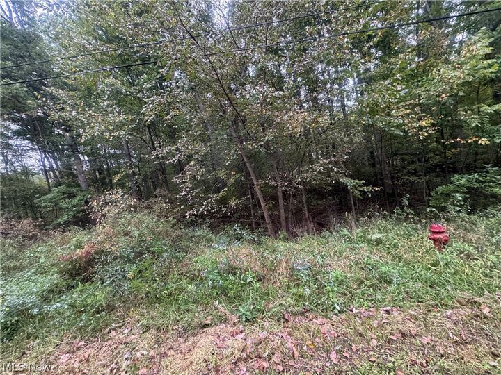 Property Photo:  48250 Dyke Road  OH 44441 