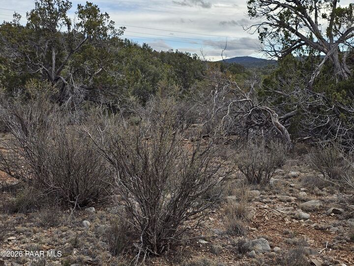 Property Photo: 32667 W Conejo Road AZ 86337