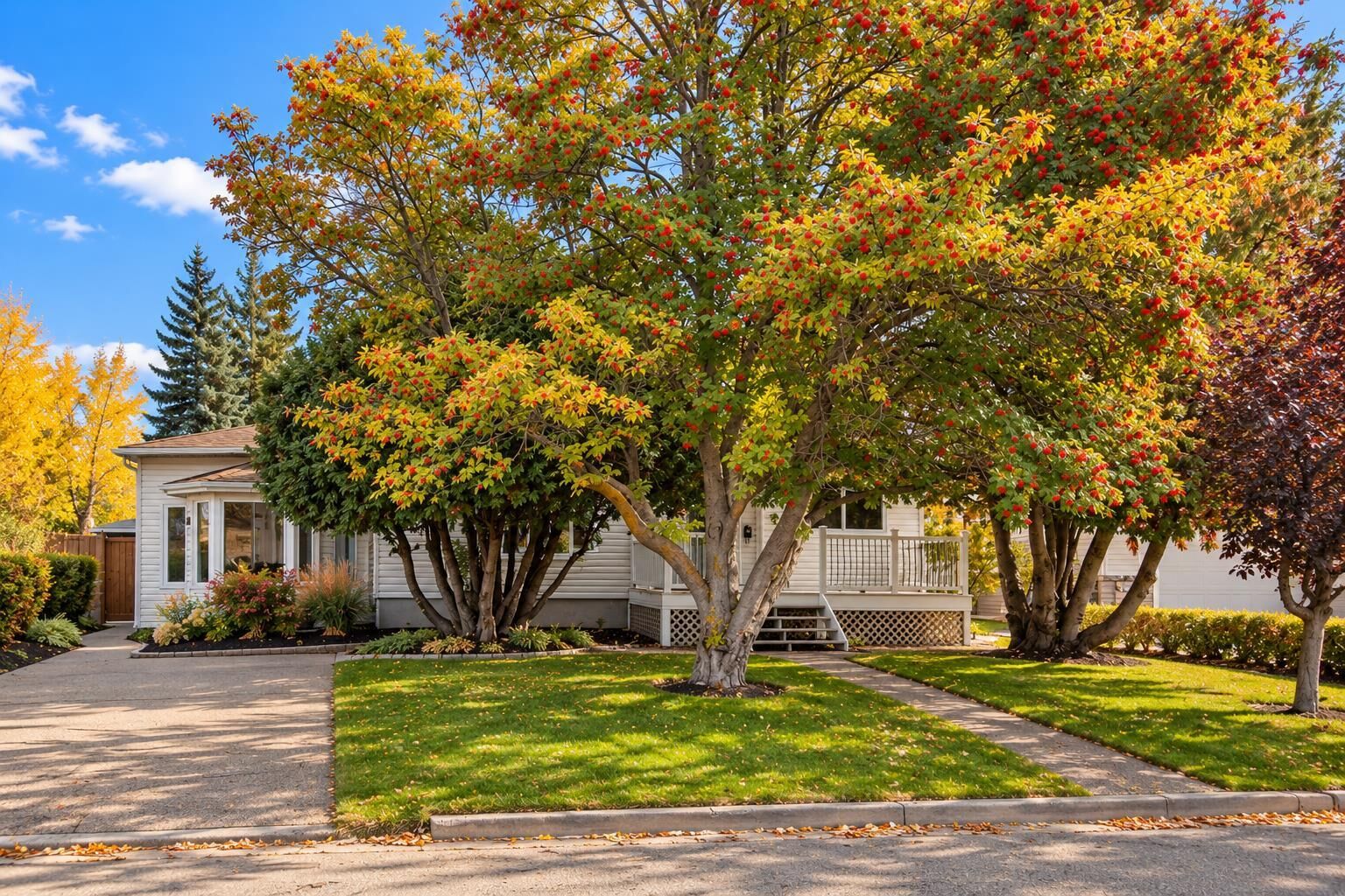 Property Photo:  3721 44A Avenue  AB T4N 3K5 