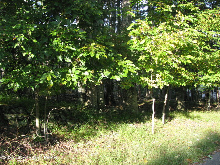 Property Photo: 505 Magic Mountain Road PA 18332