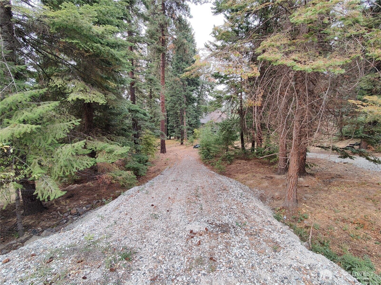 Property Photo:  3080  Fircrest  WA 98801 
