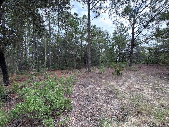 Property Photo:  2854 W Andromedae Drive  FL 34433 