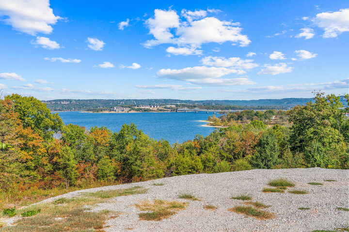 Property Photo: 253 Whitefish Bay MO 65686