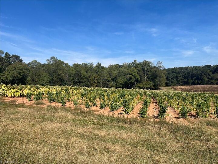 Property Photo: 1300 Charity Church Road NC 27011