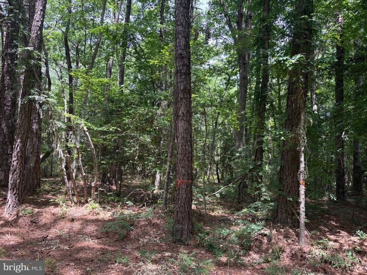 Property Photo: Lot 27 & 28 Stotsylvania Drive VA 22469