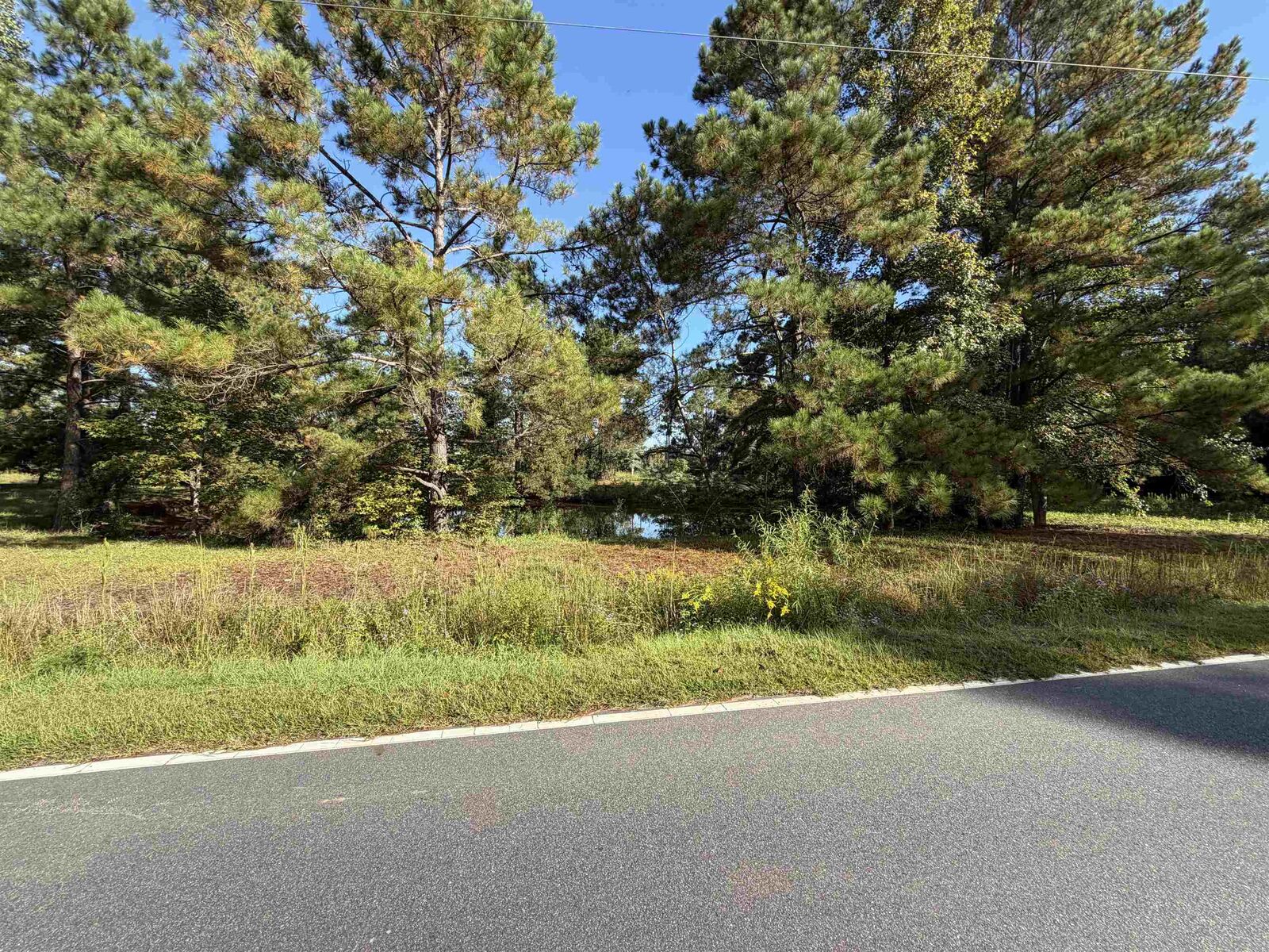 Property Photo: Tract 2 Wise Rd. SC 29526