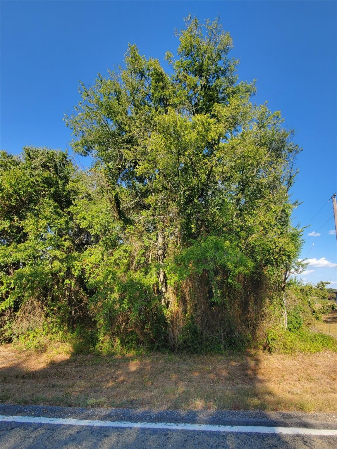 Property Photo:  8166 Fm 1362 N  TX 77836 