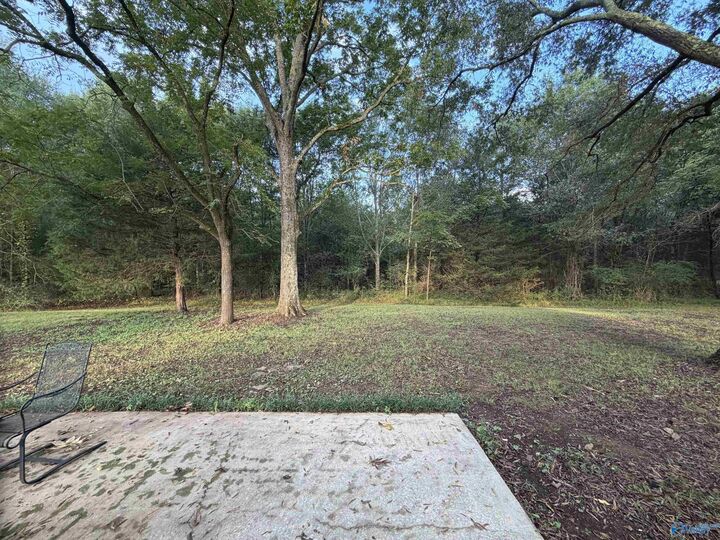 Property Photo:  3279 County Road 100  AL 35650 
