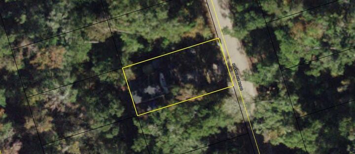 Property Photo:  Lot 59 Rochelsie Road  FL 32327 