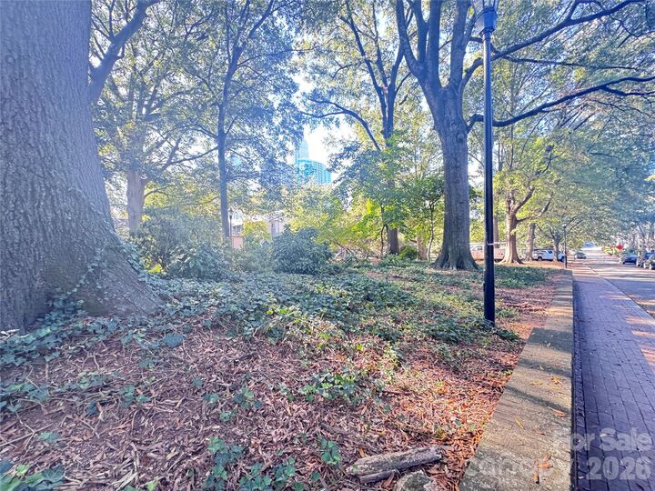 Property Photo:  413 W 8th Street B  NC 28202 