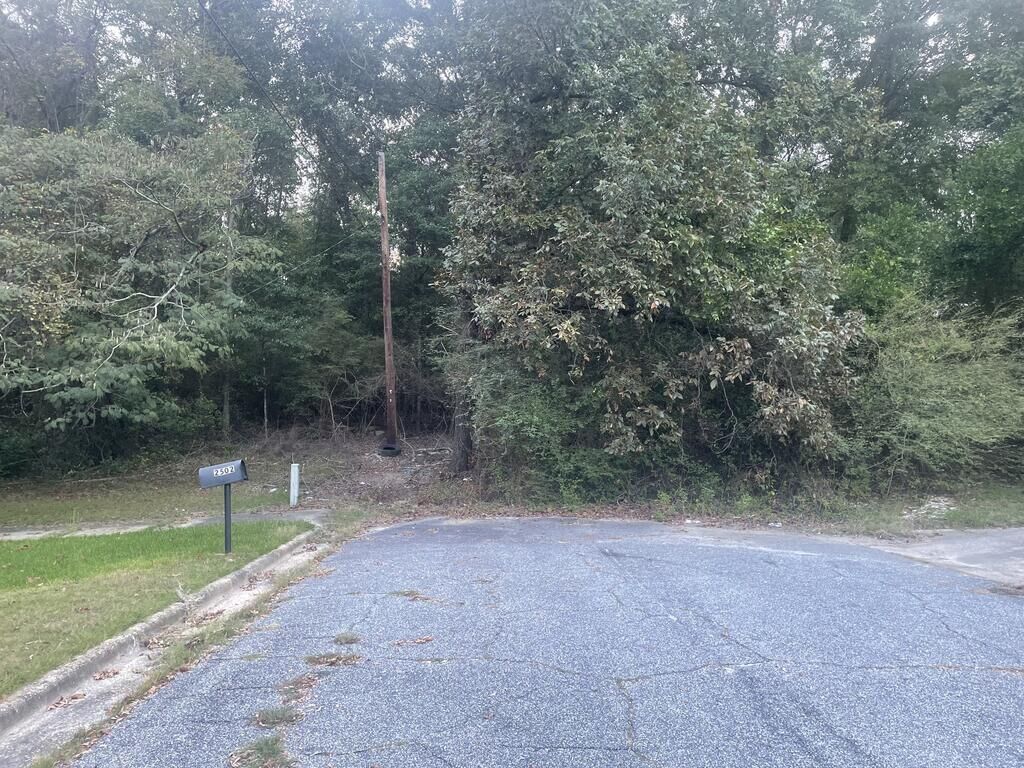 Property Photo:  0 Corineth Drive  GA 31907 
