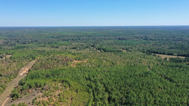 Property Photo:  00 Easement Liberty Rd  TX 75657 