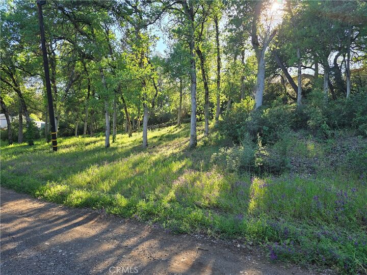 Property Photo:  6176 Armijo Avenue  CA 95422 