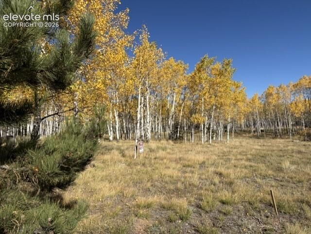 Property Photo:  417 Aspen Way Drive  CO 80816 