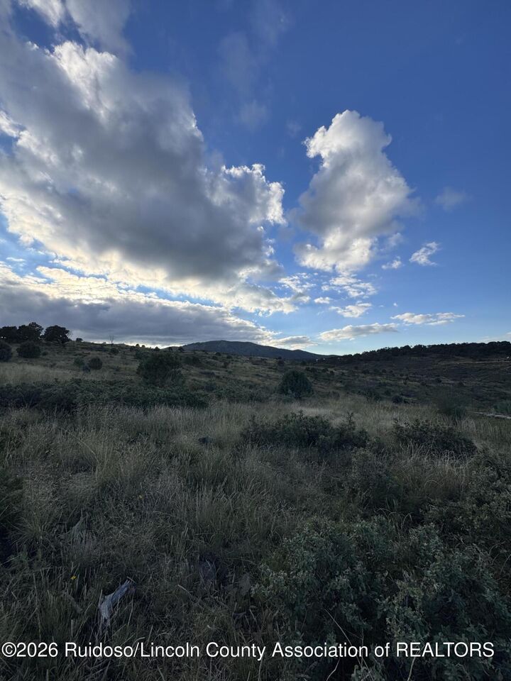 Property Photo:  159 Wolf Creek Road  NM 88341 