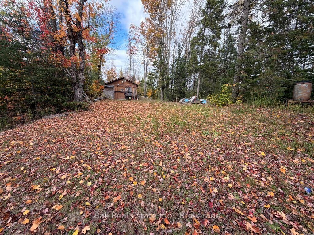 Property Photo:  23226 Highway 62 Highway  ON K0L 1P0 