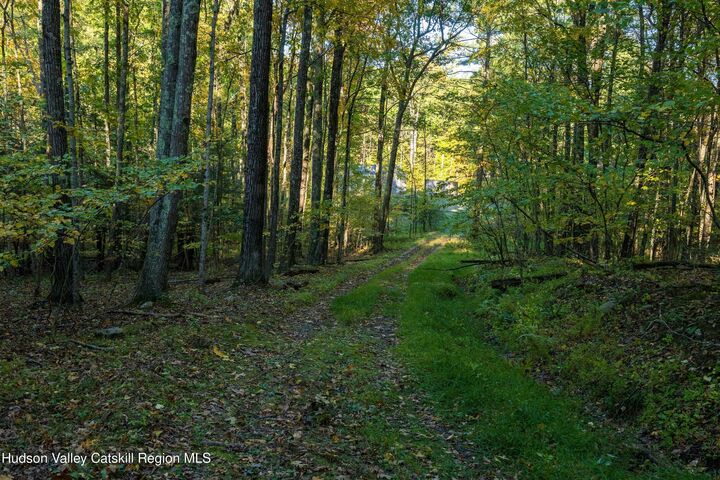 Property Photo: 8780 New York 32 NY 12431