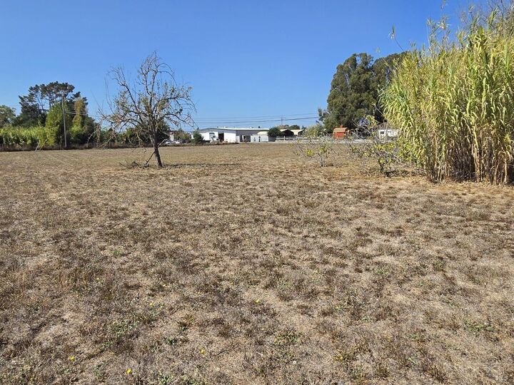 Property Photo:  101 Holcomb Lane  CA 94503 