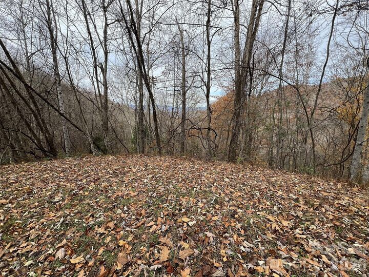 Property Photo:  Lot 7 Deer Ridge Road  NC 28713 