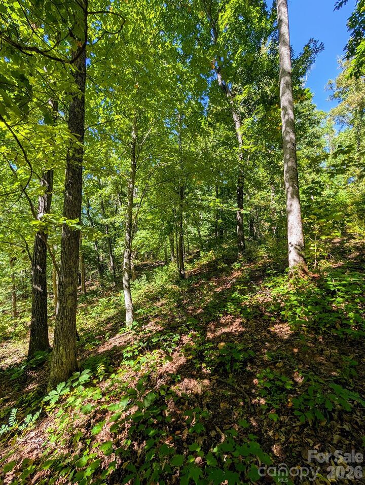 Property Photo:  0000 Mackenzie Way  NC 28778 