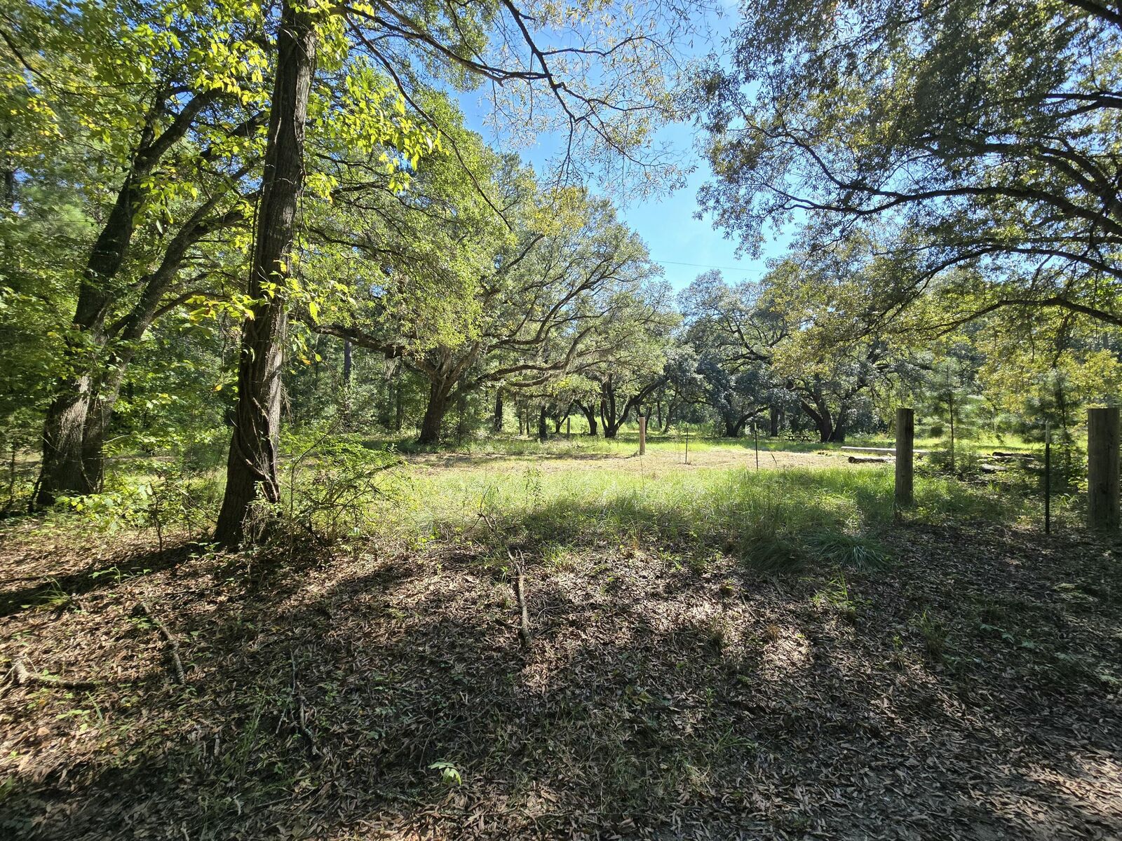 Property Photo: 497 Rectory Hill Road SC 29461