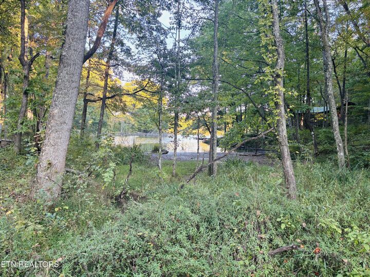 Property Photo:  41 Diane Circle  TN 38572 