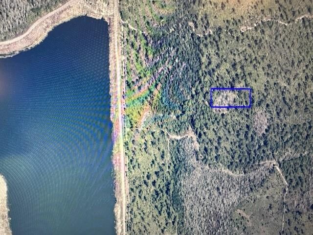 Property Photo:  Dill Road  FL 32820 