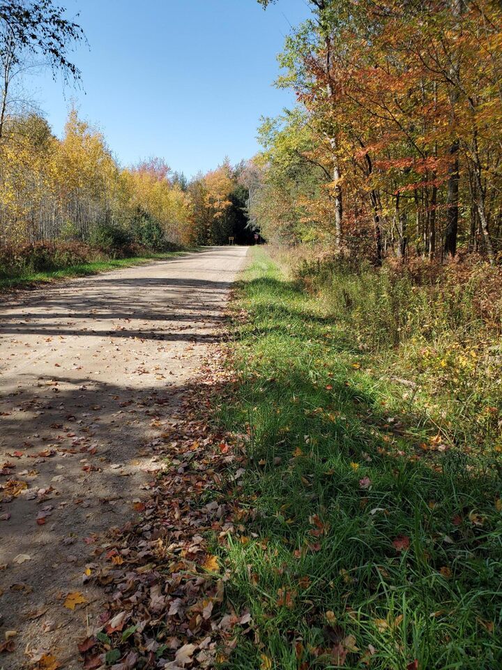 Property Photo: 11326 Berg Road MI 49645
