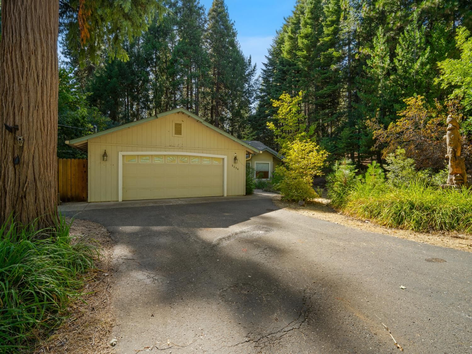 Property Photo:  6250 Terrace Drive  CA 95726 