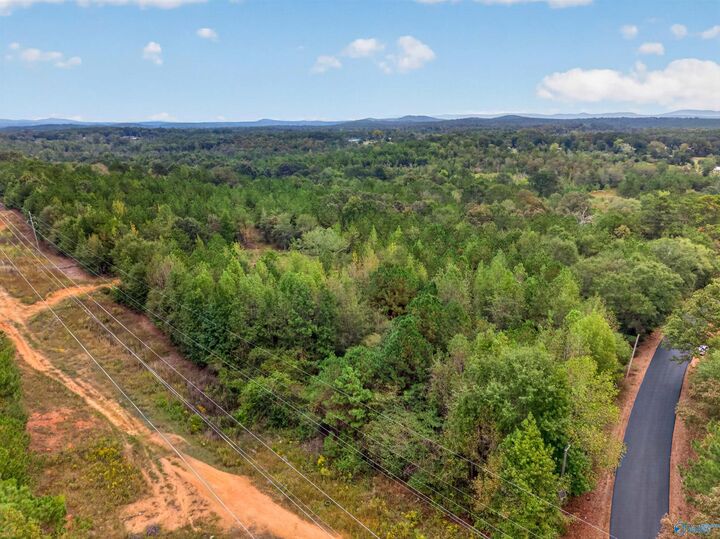 Property Photo: 11 Acres County Road 297 AL 35160