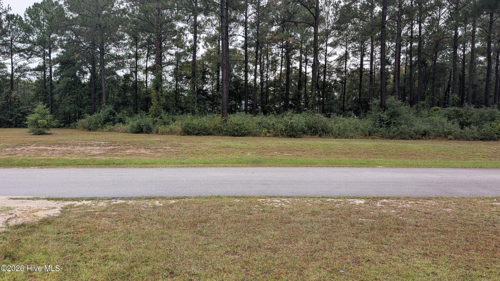 Property Photo: 244 15 Gus Horne Road NC 28445
