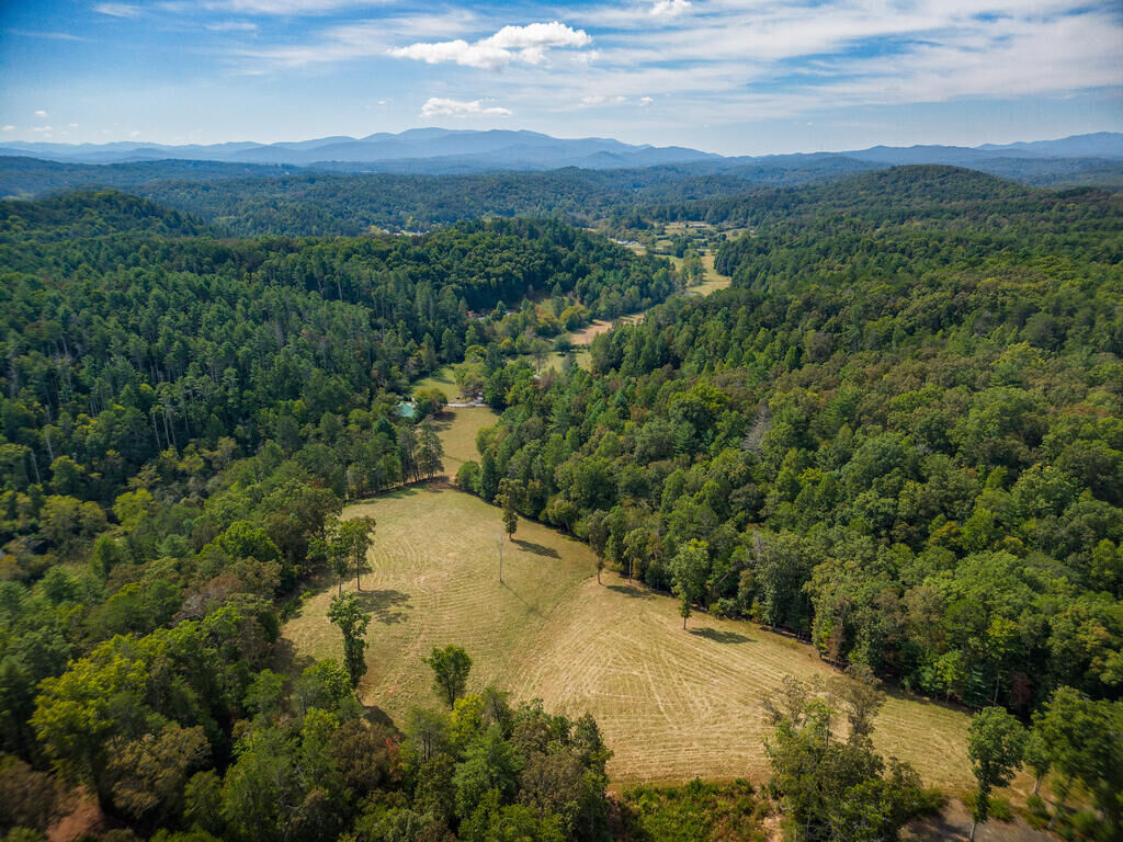 Property Photo:  619 Youngstone Drive  GA 30559 