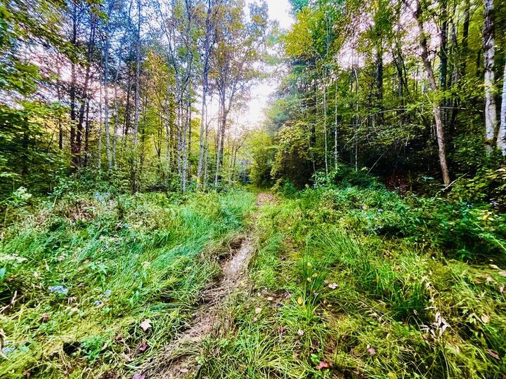 Property Photo:  1885 Flea Mountain Road  NC 28906 