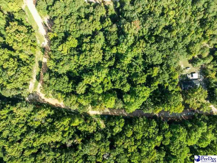 Property Photo:  0000 Jeffrey St. Lot 77  SC 29520 