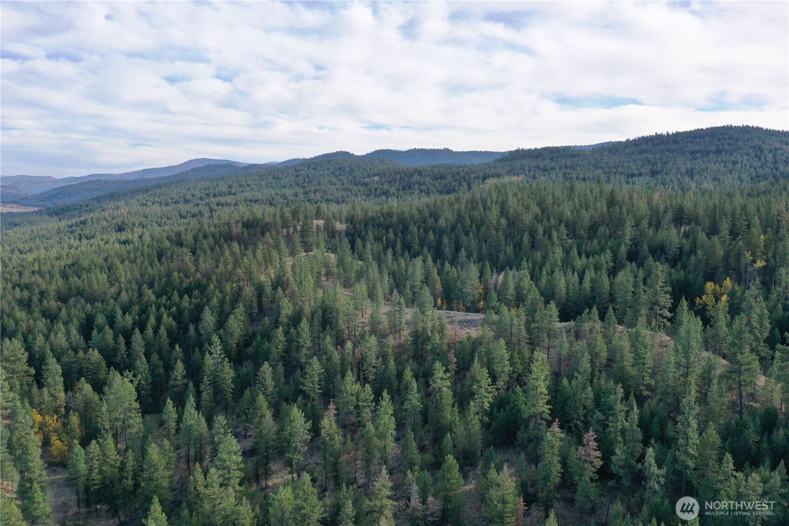 Property Photo:  9  Marmot Alley Road  WA 98855 