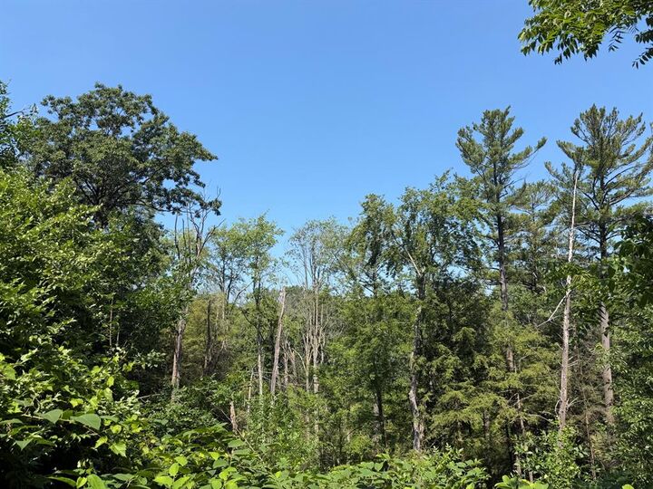 Property Photo: 0 62nd St. Road MI 49453