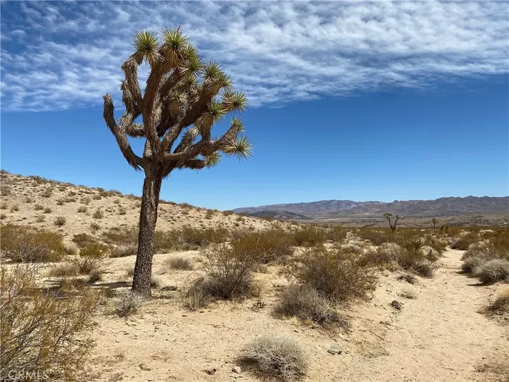 Property Photo:  3025 Flamingo  CA 92252 